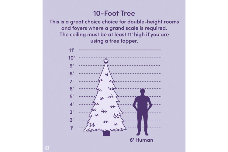 Your Guide to Christmas Tree Sizes Wayfair